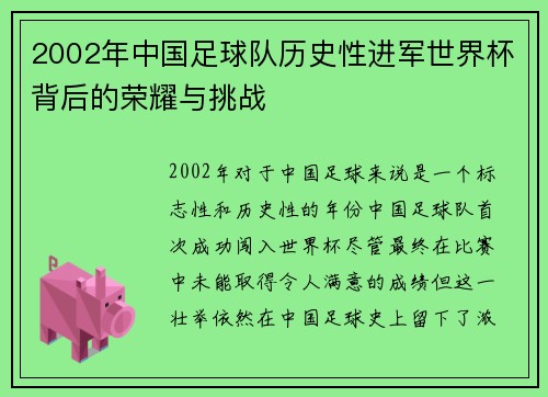 2002年中国足球队历史性进军世界杯背后的荣耀与挑战