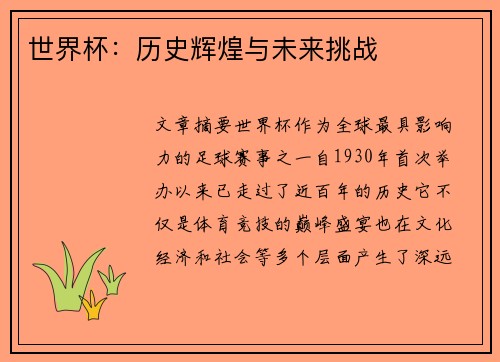 世界杯：历史辉煌与未来挑战